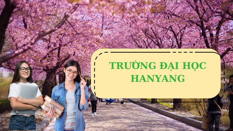 Trường Đại học Hanyang, Hàn Quốc